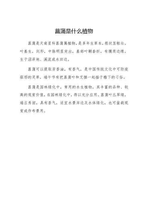 菖蒲是什么植物