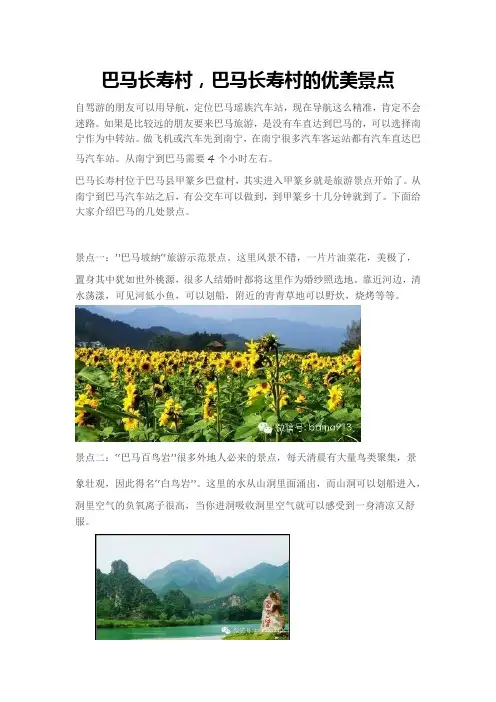 巴马长寿村,巴马长寿村的优美景点