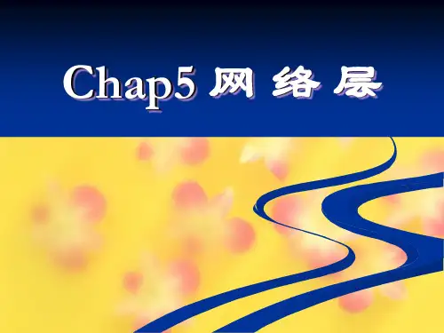 拥塞控制算法