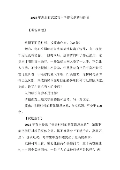 2015年湖北省武汉市中考作文题解与例析