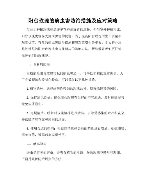 阳台玫瑰的病虫害防治措施及应对策略