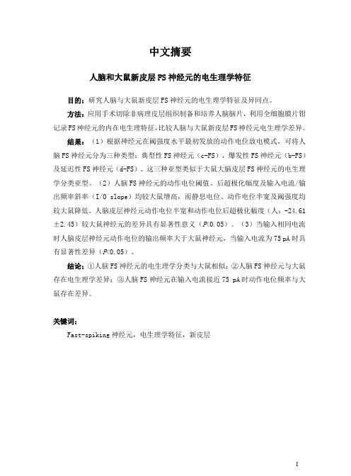人脑和大鼠新皮层fs神经元的电生理学特征