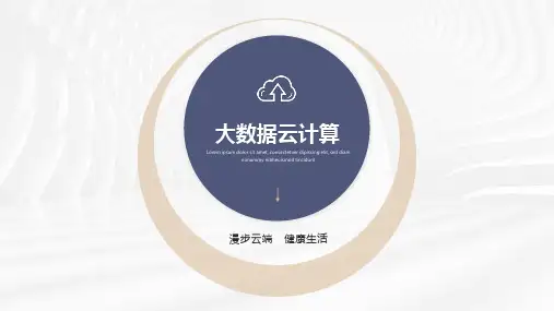 简约科技大数据云计算产品介绍商业计划书ppt模板
