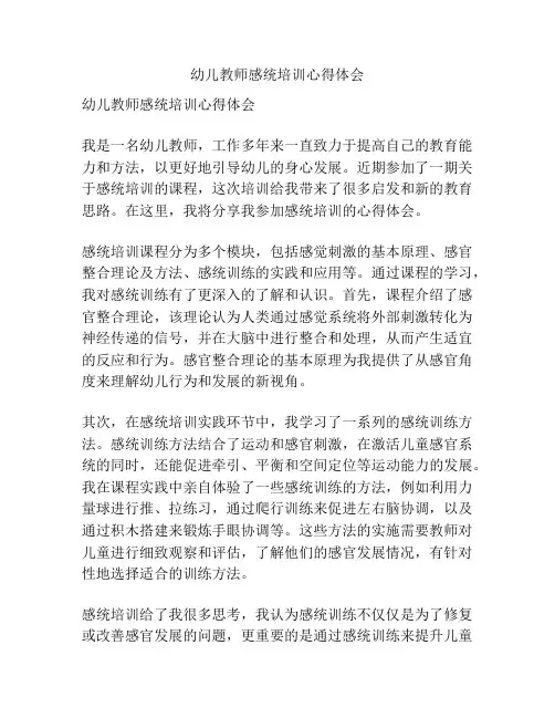 幼儿教师感统培训心得体会