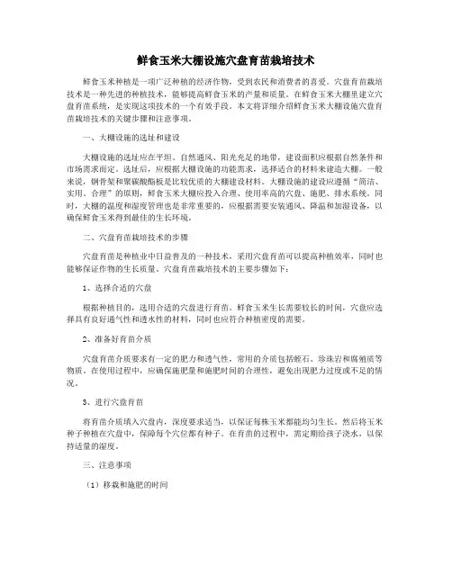 鲜食玉米大棚设施穴盘育苗栽培技术