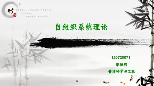 自组织系统理论