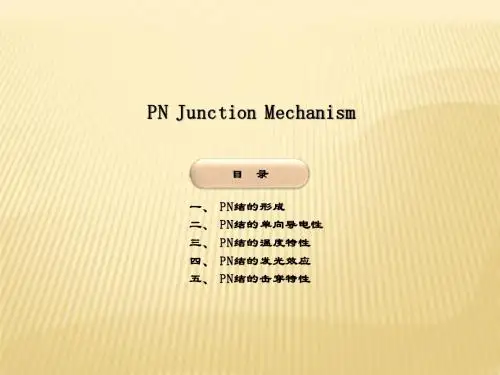 P N 结介绍