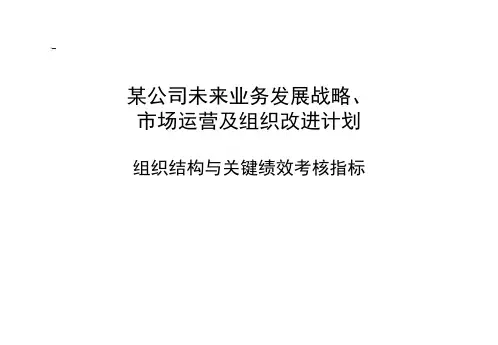 波士顿咨询组织架构与绩效设置经典咨询案