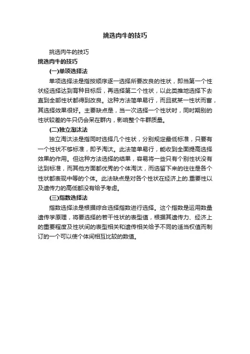 挑选肉牛的技巧