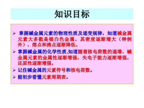 高一化学碱金属元素(PPT)5-4