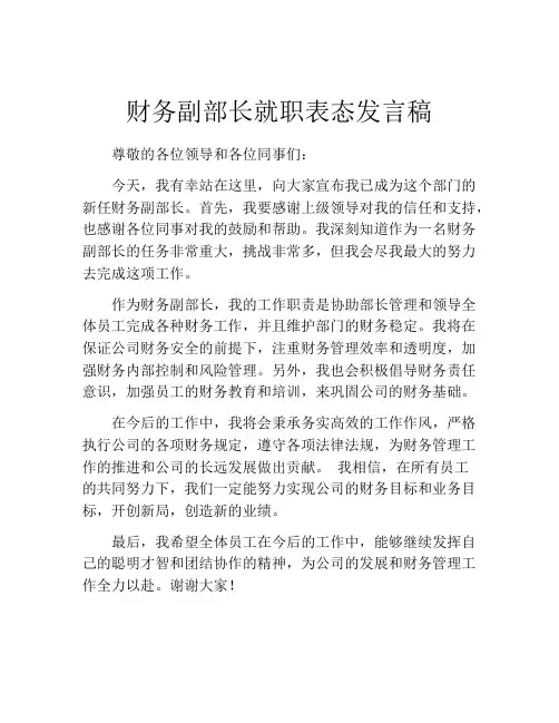 财务副部长就职表态发言稿