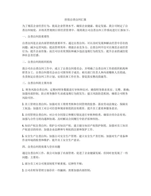 担保自查自纠汇报