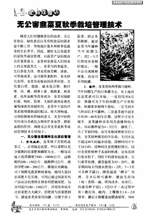 无公害韭菜夏秋季栽培管理技术