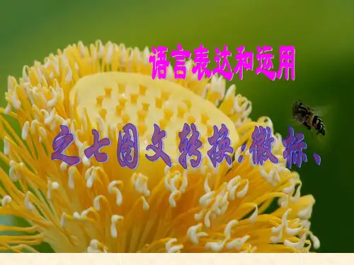 中考徽标图表