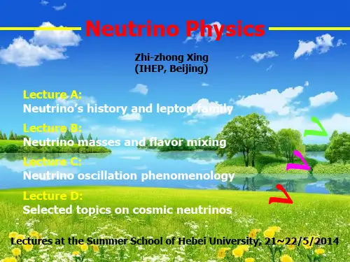 邢志忠-Neutrino Physics