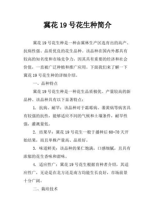 冀花19号花生种简介