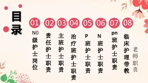 医院医疗护理岗位说明相关职责辅导图文PPT课件