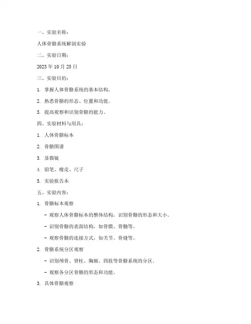 高职人体解剖实验报告