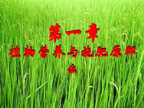 《植物营养学》幻灯片PPT