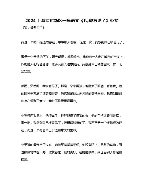 2024上海浦东新区一模语文《我,被看见了》范文