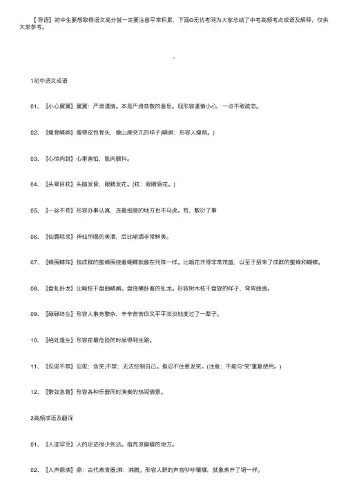 中考高频考点成语及解释