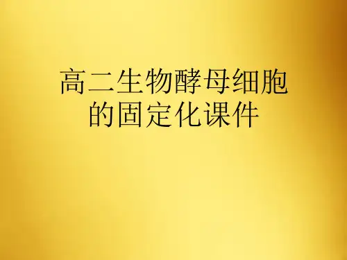 高二生物酵母细胞的固定化课件