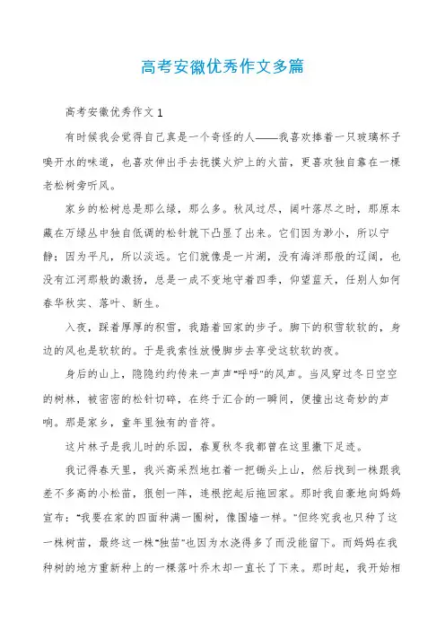 高考安徽优秀作文多篇