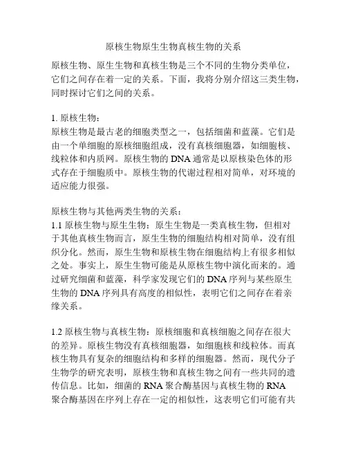原核生物原生生物真核生物的关系
