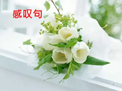 感叹句祈使句复习ppt课件