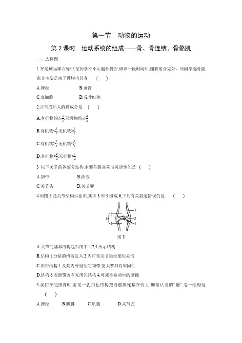 9.1   第2课时 运动系统的组成——骨、骨连结、骨骼肌练习题京改版八年级生物上册