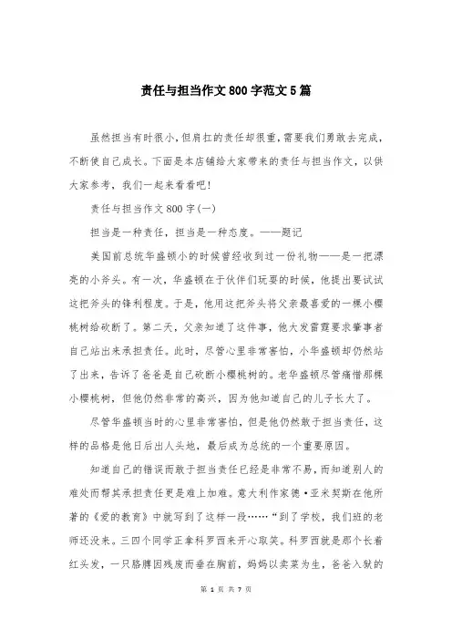 责任与担当作文800字范文5篇