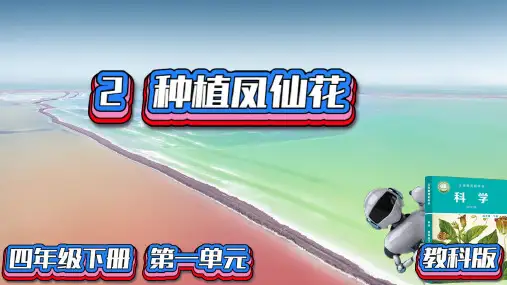 (2022)教科版科学四年级下册第一单元2种植凤仙花 课件(共41张PPT)