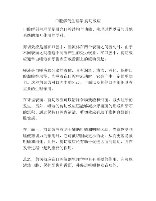 口腔解剖生理学,剪切效应