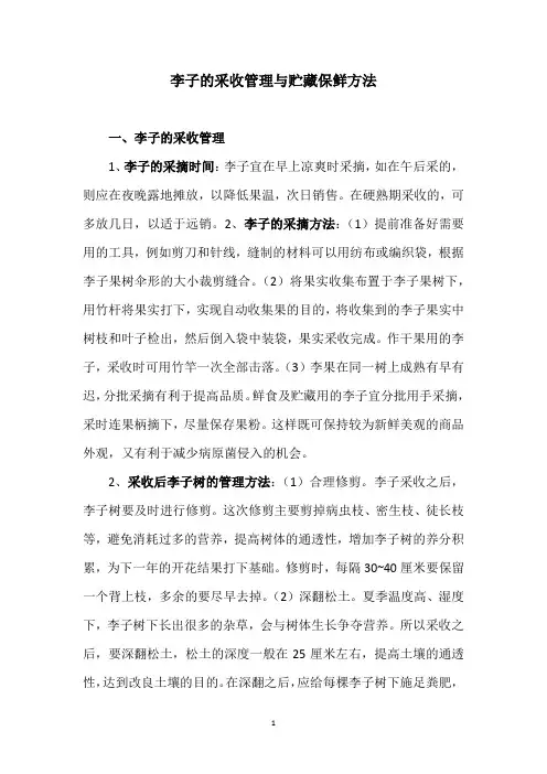 李子的采收管理与贮藏保鲜方法