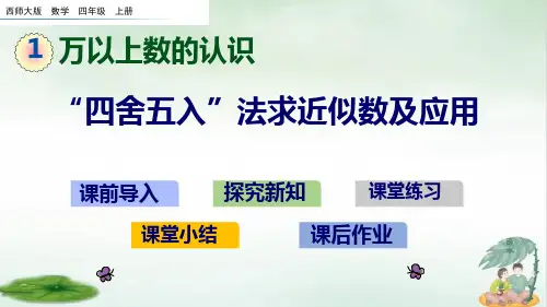 《近似数》课件完美版(共21张PPT)