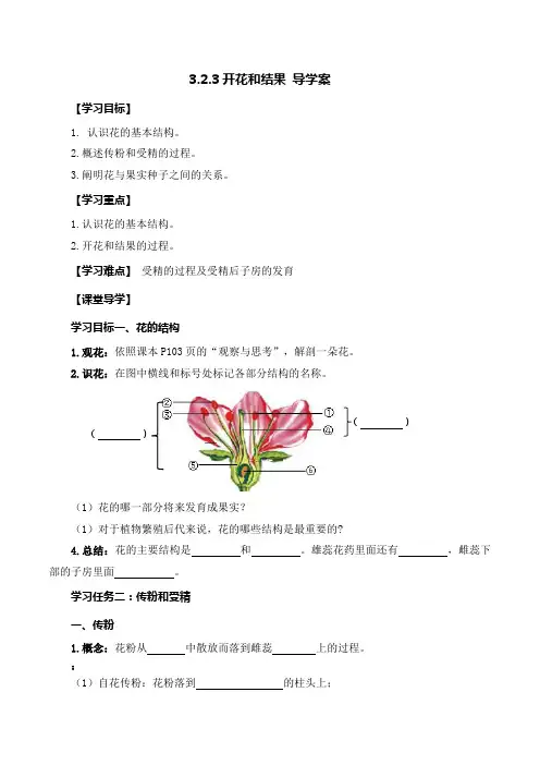 开花和结果(导学案)(原卷版)