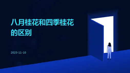 八月桂花和四季桂花的区别