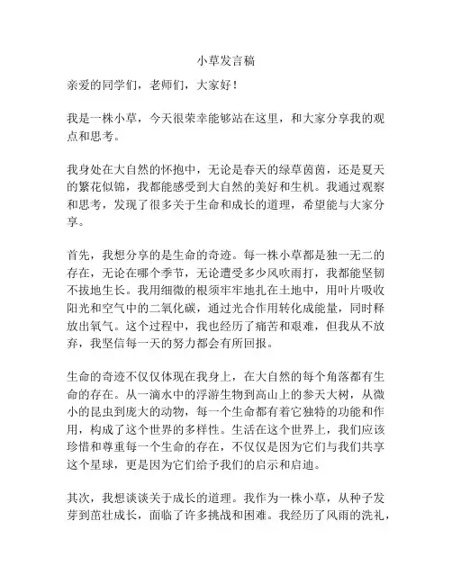 小草发言稿