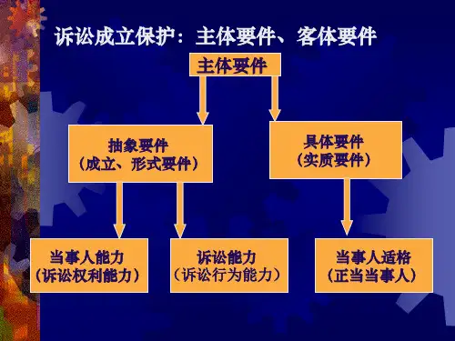 当事人适格解读