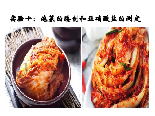 实验十：泡菜的腌制和亚硝酸盐的测定 (共26张PPT)