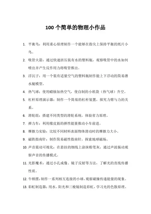 100个简单的物理小作品