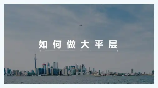 住宅大平层