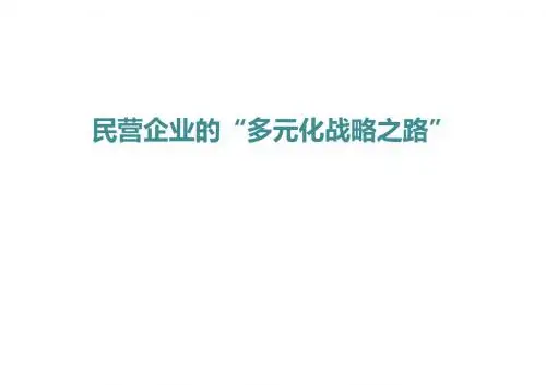 《民营企业的“多元化战略之路”》PPT