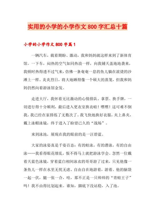 实用的小学的小学作文800字汇总十篇
