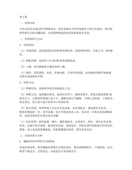 种植区草莓实验报告(3篇)