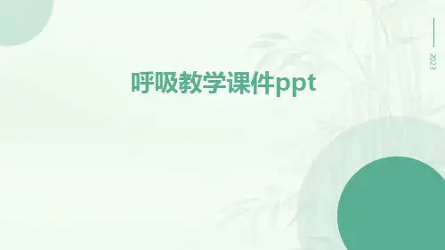 呼吸教学课件ppt