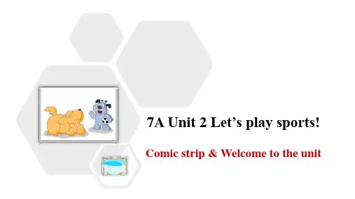 牛津译林版英语七年级上册 Unit2 Let's play sports!全单元课件