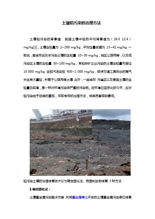 土壤铅污染的治理方法