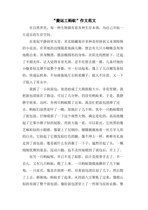 “搬运工蚂蚁”作文范文