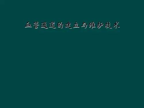 血管通道的建立与维护技术